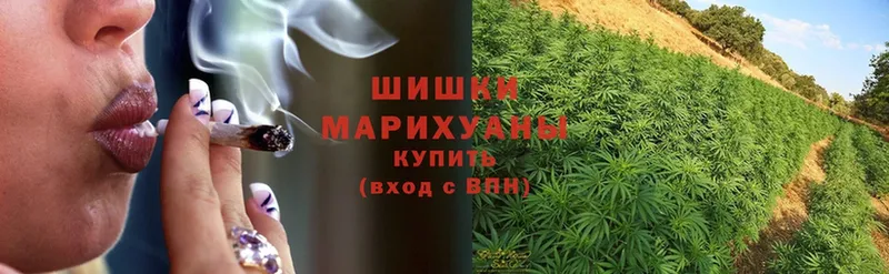 Шишки марихуана OG Kush  shop какой сайт  Губкин 